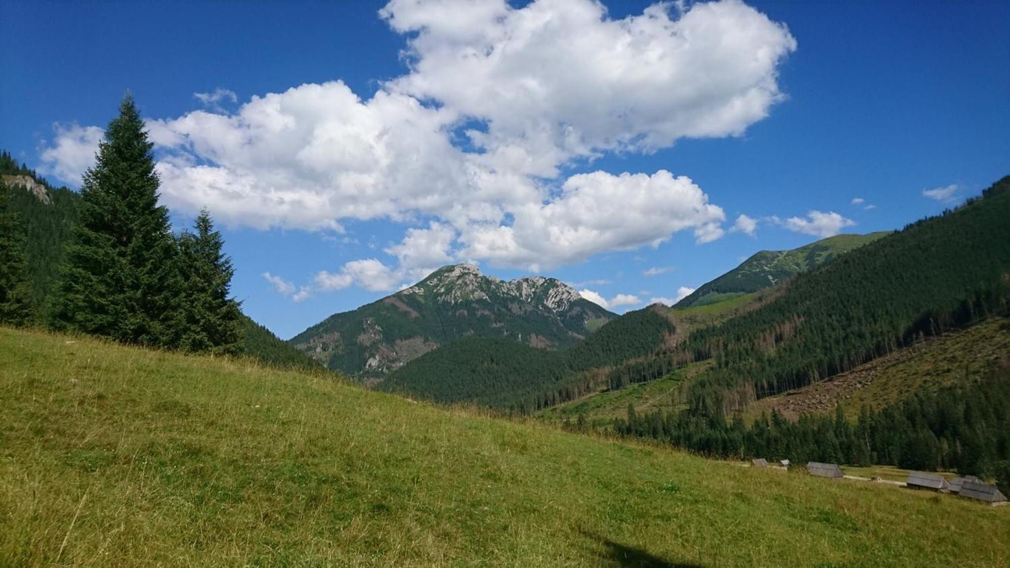 U Suchowiana Zakopane Buitenkant foto